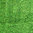 Autotuch für Nassreinigung Green Fiber AUTO S16, grün